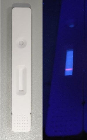 Chinese researchers develop fast, sensitive COVID-19