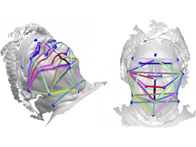 Points of measurement in 3D head scan