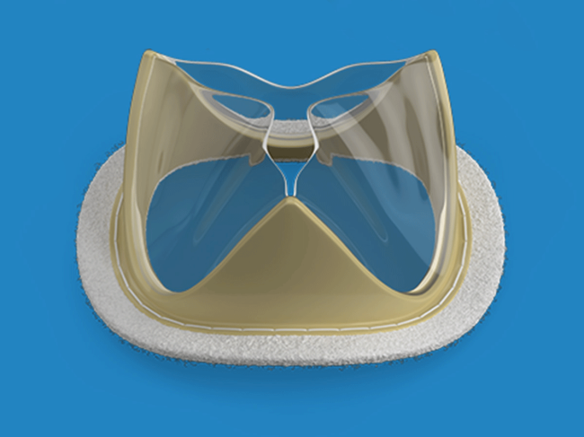 Foldax Tria heart valve