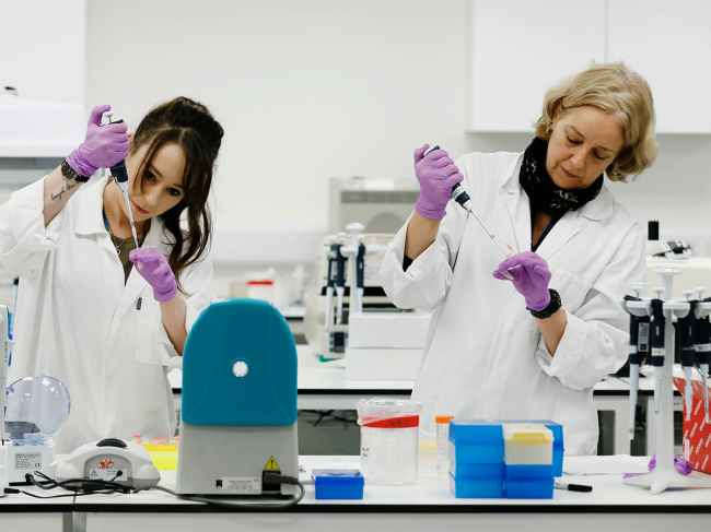 Laboratory team performing test assays