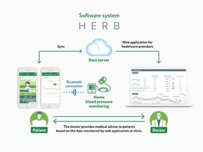 Flow chart showing how the app works