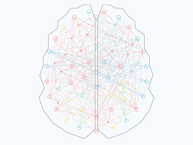 Illustration of brain connections