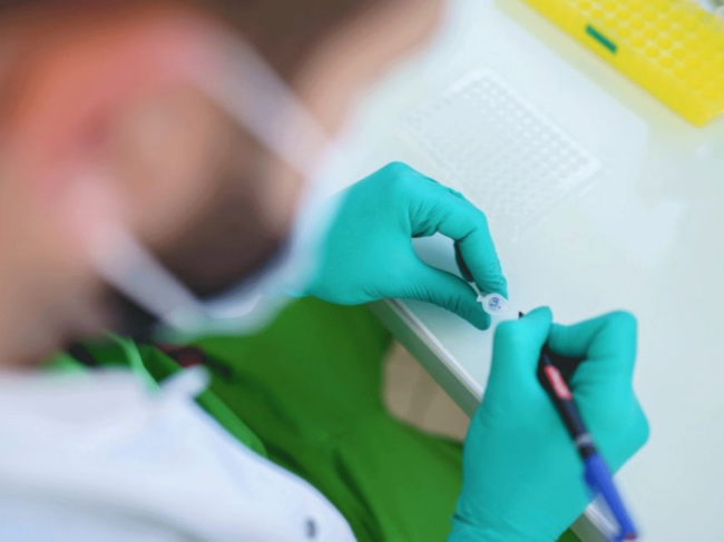 Person working on the Mailpan bio-artificial pancreas