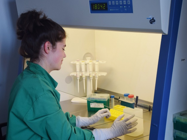 Woman working with lab materials in a fume hood