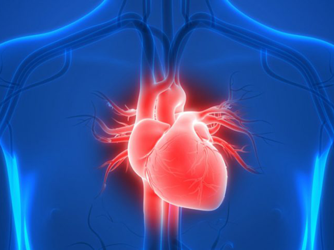 tricuspid regurgitation