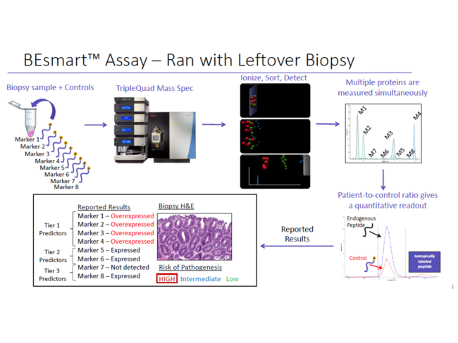 BE-Smart - Prophase