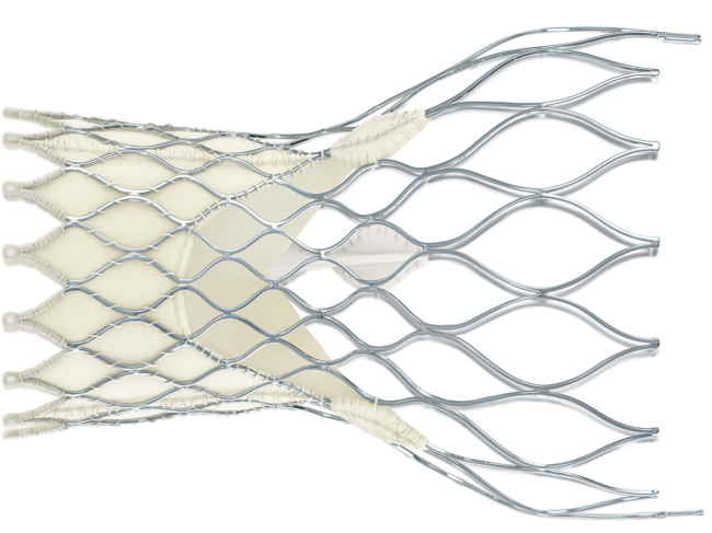 Medtronic CoreValve