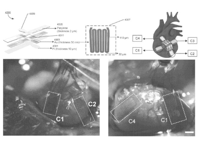 oragami-heart-monitor