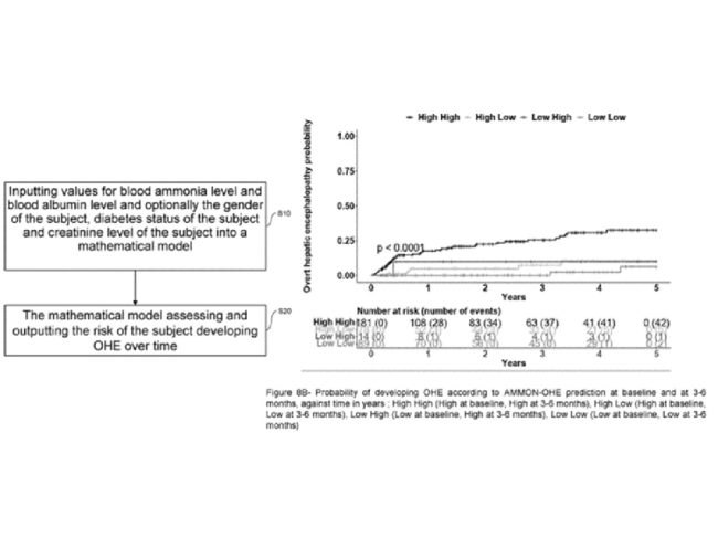 predict hepatic encephalopathy