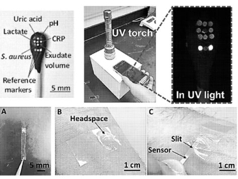 Wound monitoring 19nov24