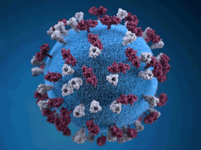 Measles virus