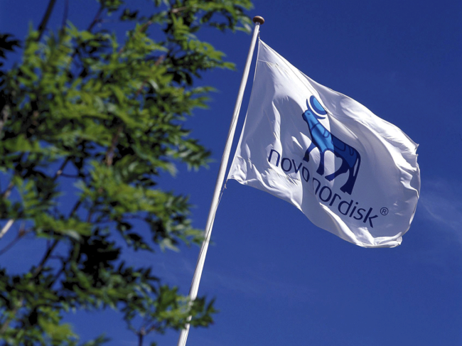 Novo Nordisk flag