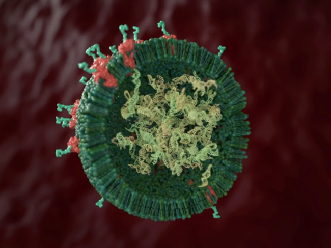 Illustration of exosome drug delivery technology