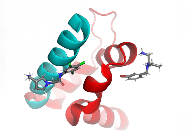 Brophenexin and aliudanexin