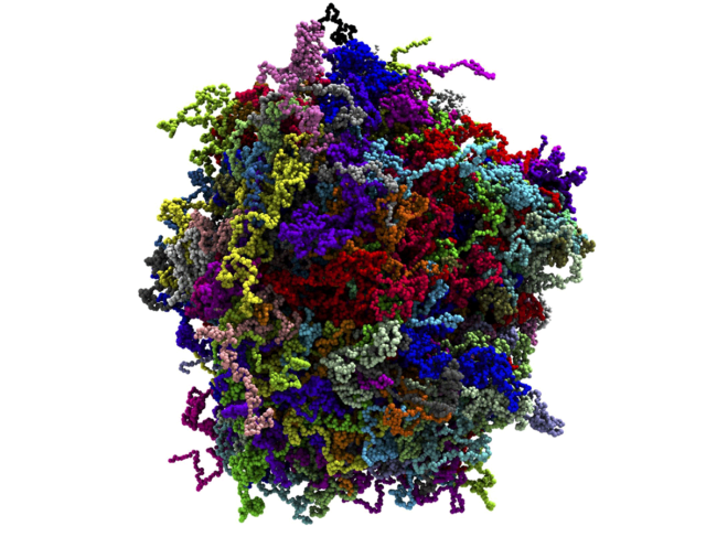 Biological condensate