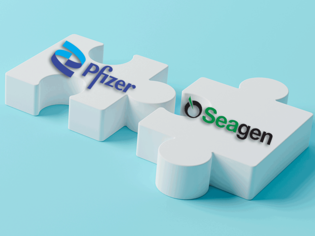 Pfizer-Seagen logos on puzzle pieces