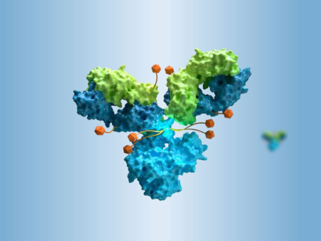 Kelun Biotech rendering of sacituzumab tirumotecan