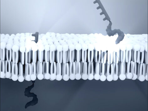 Pepgen oligonucleotide therapeutic illustration 2 24