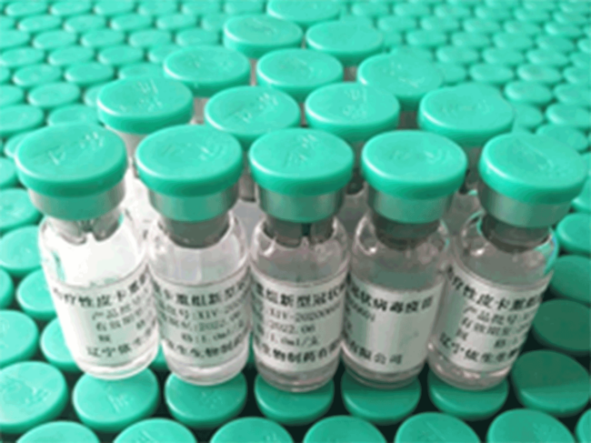 Yisheng vaccine candidate YS-SC2-010