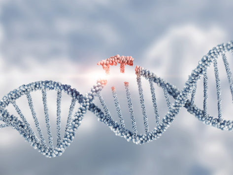 DNA double helix illustration with section being removed in red