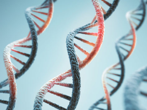 Dna mutation variation