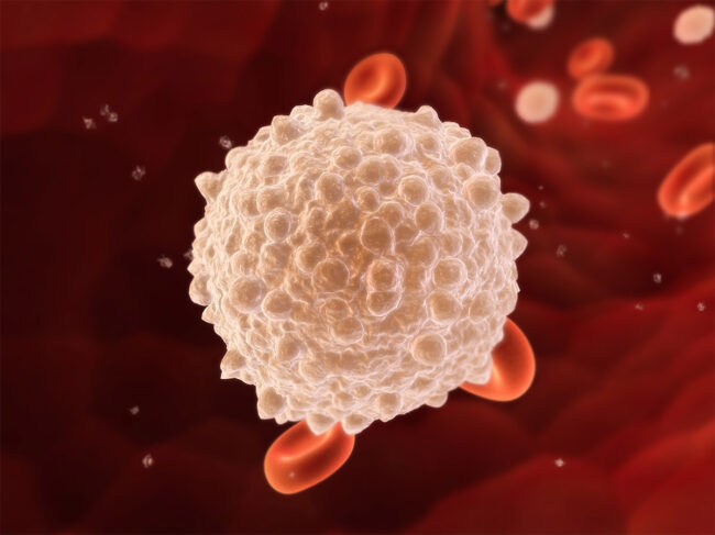 Illustration of a helper t cell in the bloodstream