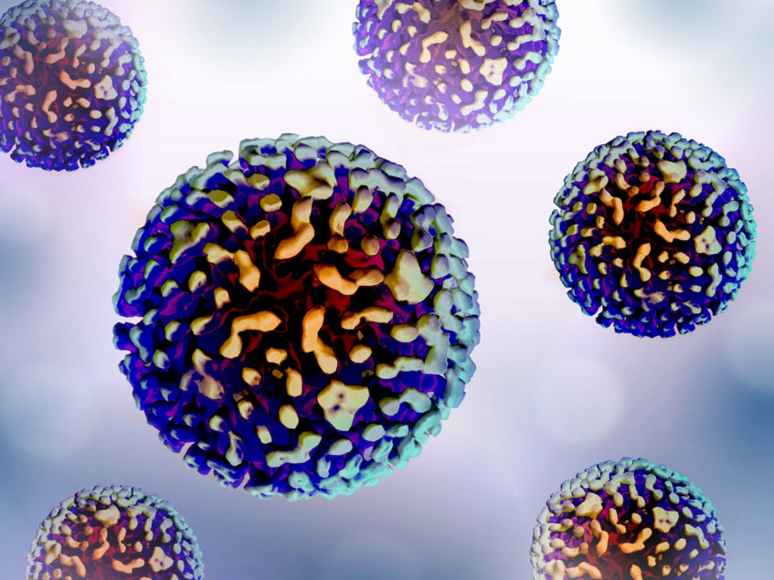 Precision Biosciences advances PBGENE-HBV toward clinic | BioWorld