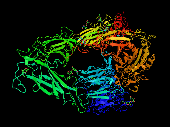 Integrin model.