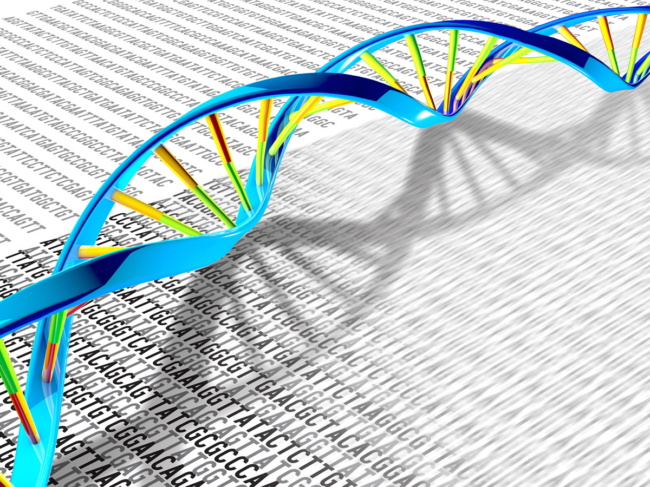 A DNA double helix rests on a print-out illustration of the DNA  base pair letters A, T, C and G.