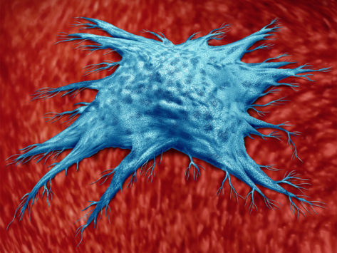 Illustration of a senescent cell