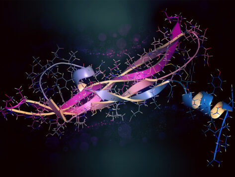 Illustration of VEGF-A protein molecule