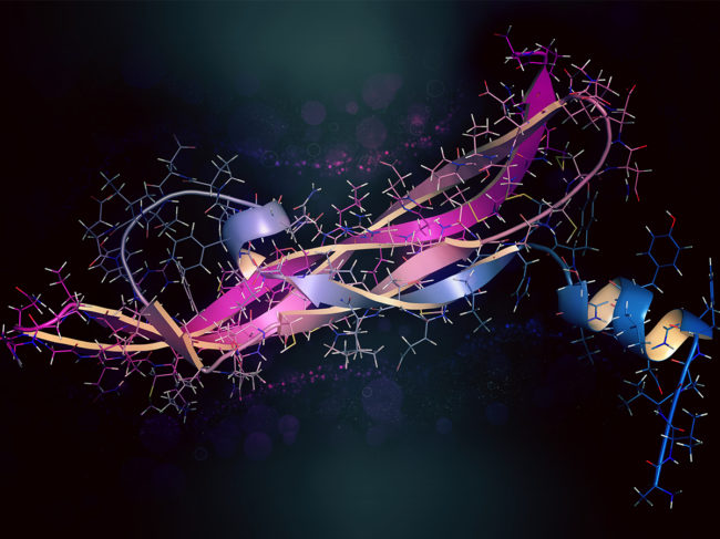 Illustration of VEGF-A protein molecule