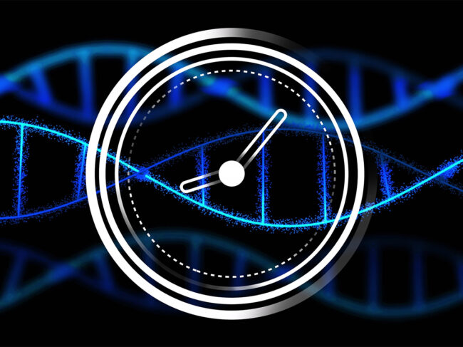 Image of clock over dna strands