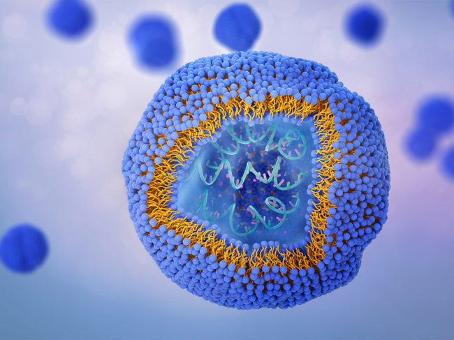 Molecules and RNA enclosed by a lipid bilayer