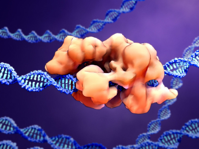 Illustration of enzyme wrapped around double helix