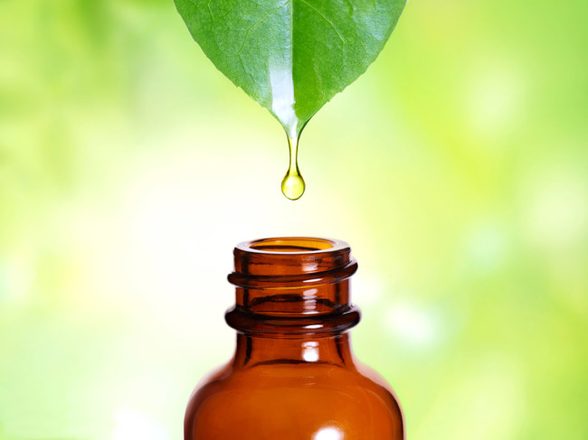 Oil drop dripping from plant leaf to tincture bottle