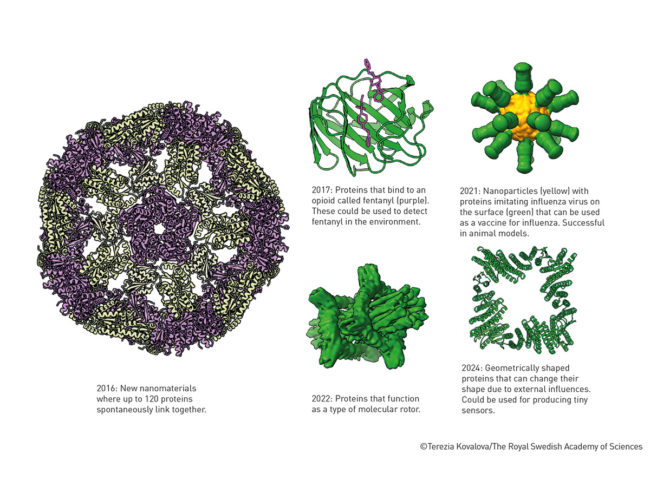 Illustration of proteins and year they were developed