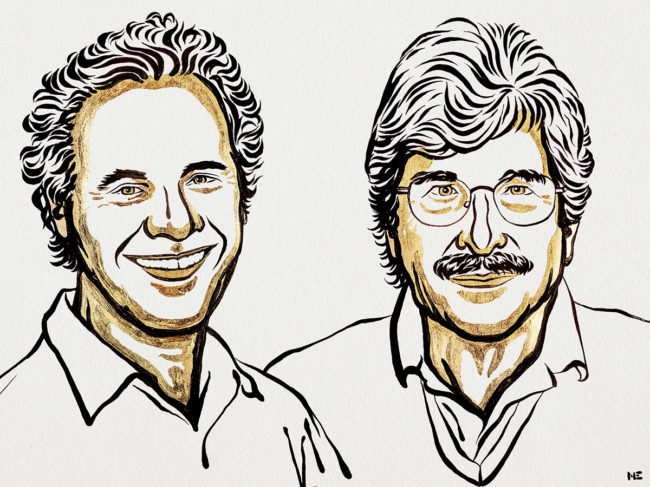 Illustration of Victor Ambros and Gary Ruvkun