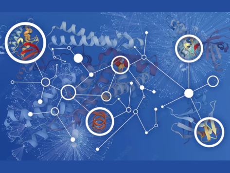 Open targets interactome