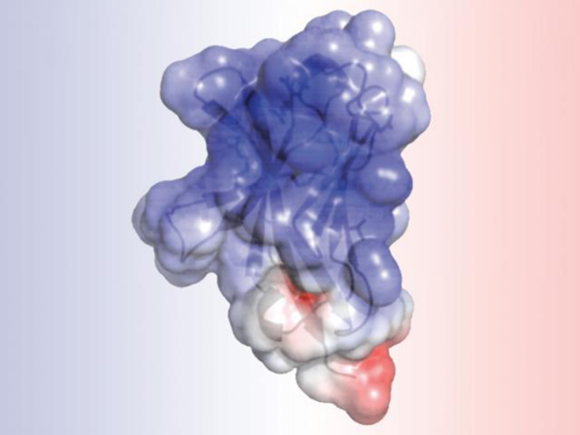 TREM2 structure