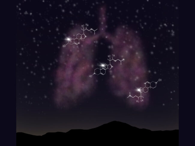 Illustration of lungs in the night sky with molecular structures as stars