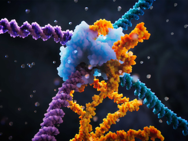 Bridge recombinase mechanism 3D illustration