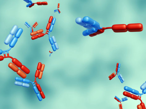 3d bispecific antibodies