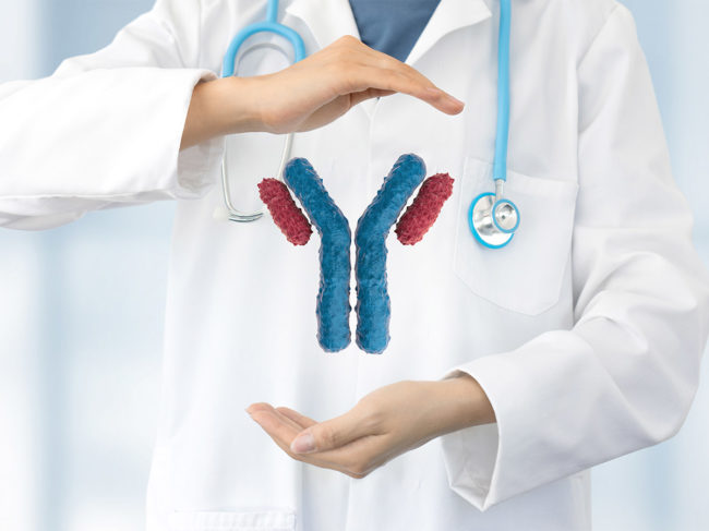 Illustration of monoclonal antibody hovering between doctor's hands