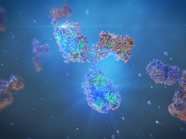 Monoclonal antibody illustration