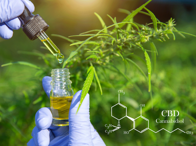 Cannabidiol