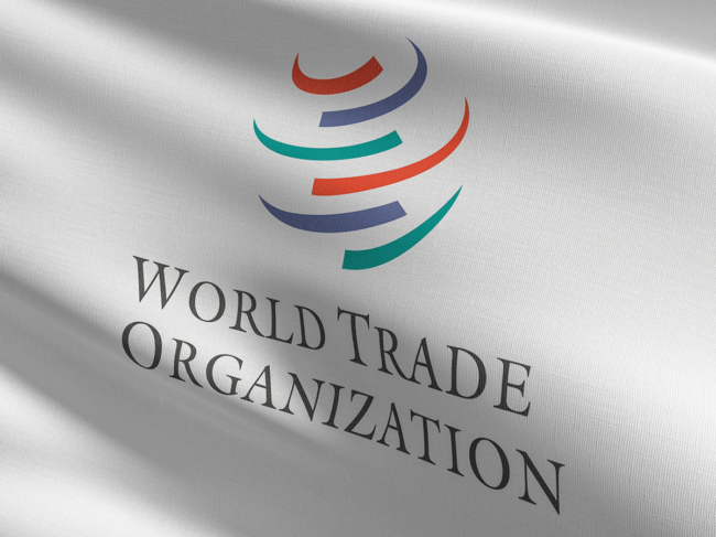 WTO logo