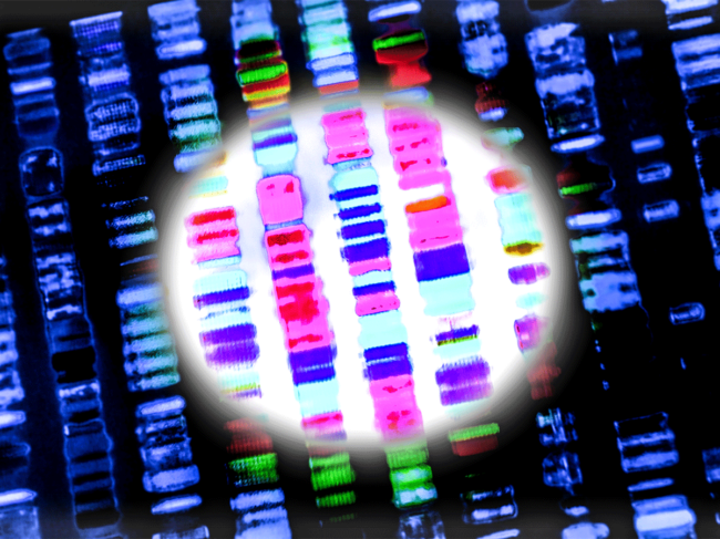 DNA sequencing 