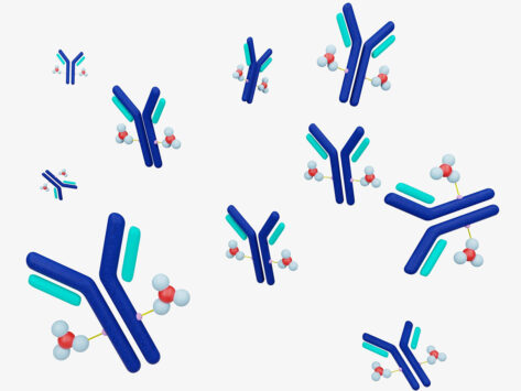 Floating antibody drug conjugates