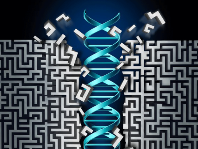 DNA illustration